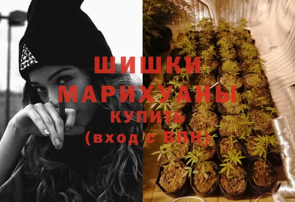 ПСИЛОЦИБИНОВЫЕ ГРИБЫ Гусь-Хрустальный