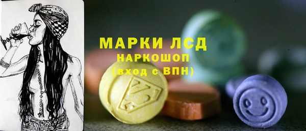 ПСИЛОЦИБИНОВЫЕ ГРИБЫ Гусь-Хрустальный