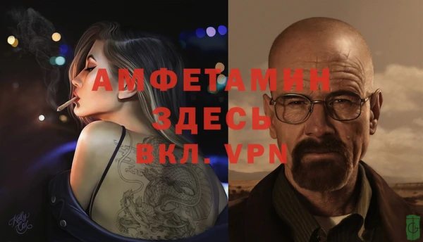 ПСИЛОЦИБИНОВЫЕ ГРИБЫ Гусев