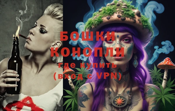 ПСИЛОЦИБИНОВЫЕ ГРИБЫ Гусев