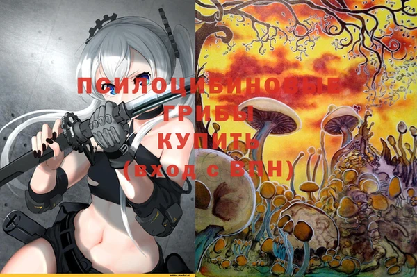 прущий лед Гусиноозёрск