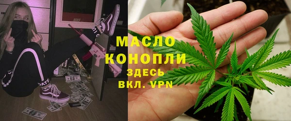ПСИЛОЦИБИНОВЫЕ ГРИБЫ Гусев