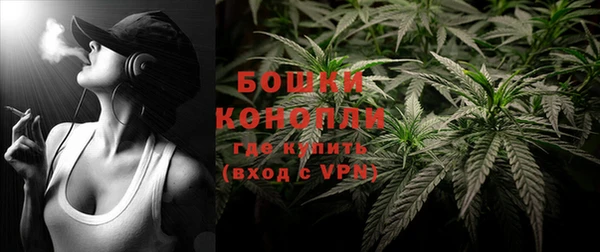 ПСИЛОЦИБИНОВЫЕ ГРИБЫ Гусев