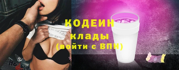 ПСИЛОЦИБИНОВЫЕ ГРИБЫ Гусь-Хрустальный