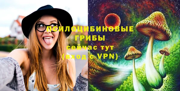 ПСИЛОЦИБИНОВЫЕ ГРИБЫ Гусев